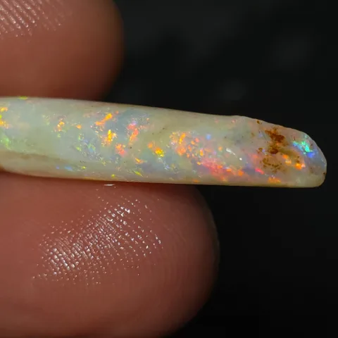 6.5 Coober Pedy Belemnite Fossil