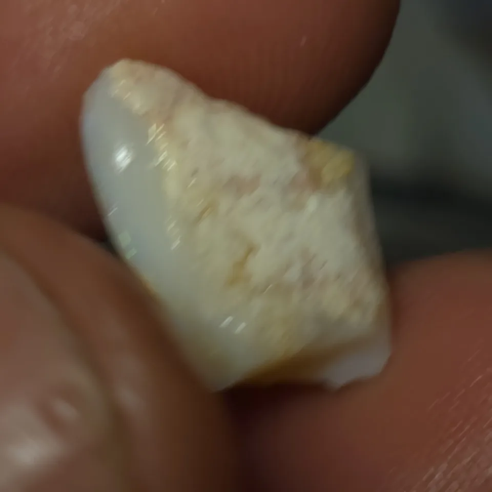 No Reserve-Coober Pedy Opal Gamble Rough - 3