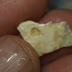No Reserve-Coober Pedy Opal Rough stone  - 1