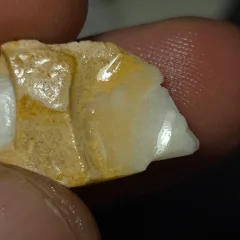 No Reserve-Coober Pedy Opal Gamble Rough  - 1