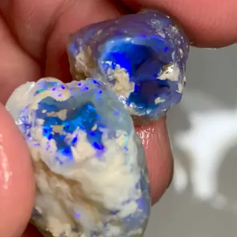 Super Bright Blue on Black Nobby Lightning Ridge Rough Opals