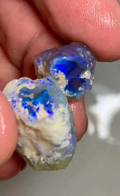 Super Bright Blue on Black Nobby Lightning Ridge Rough Opals