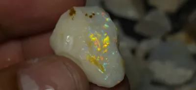 24.5 Carats Coober Pedy Rough Opal