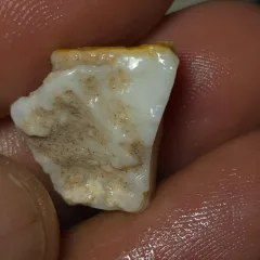 No Reserve-Coober Pedy Opal Gamble Rough  - 9